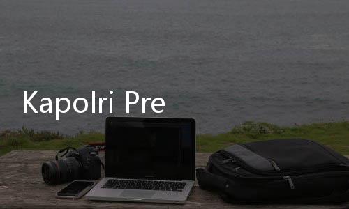 Kapolri Prediksi Puncak Arus Mudik Libur Nataru Terjadi di Tanggal Ini