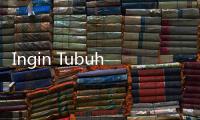 Ingin Tubuh Sehat Menyeluruh, Harus Berapa Lama Jalan Kaki per Hari?