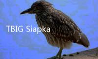 TBIG Siapkan Capex Rp4 Triliun, Bangun Menara & Fiber Optik di Tengah Perang Operator
