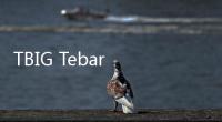 TBIG Tebar Dividen Rp1 Triliun, Meski Keuntungan Menyusut